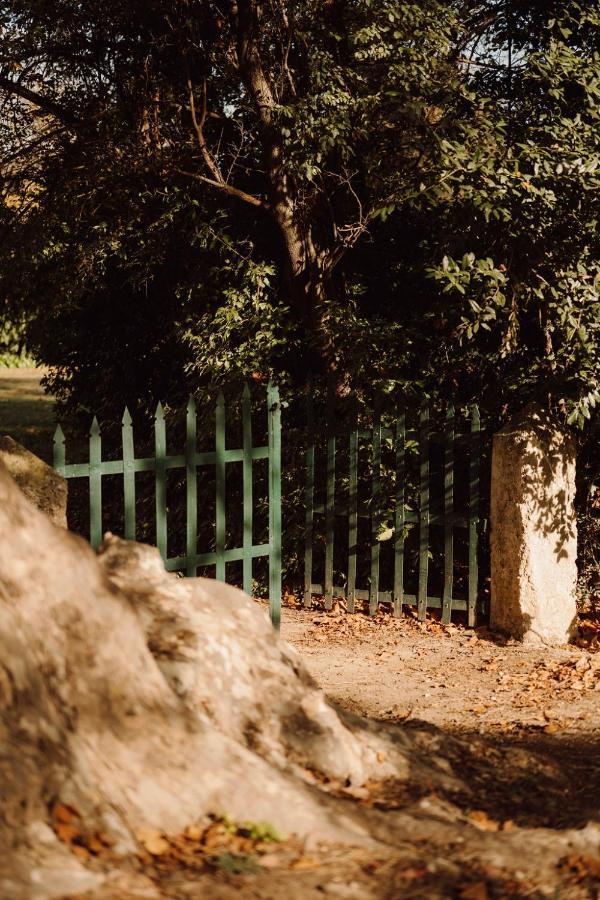 Gite Superbe L'Ecurie Xixeme Salleles-d'Aude Bagian luar foto
