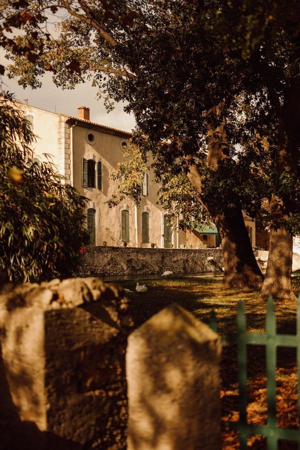 Gite Superbe L'Ecurie Xixeme Salleles-d'Aude Bagian luar foto